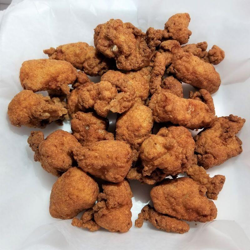 Alligator